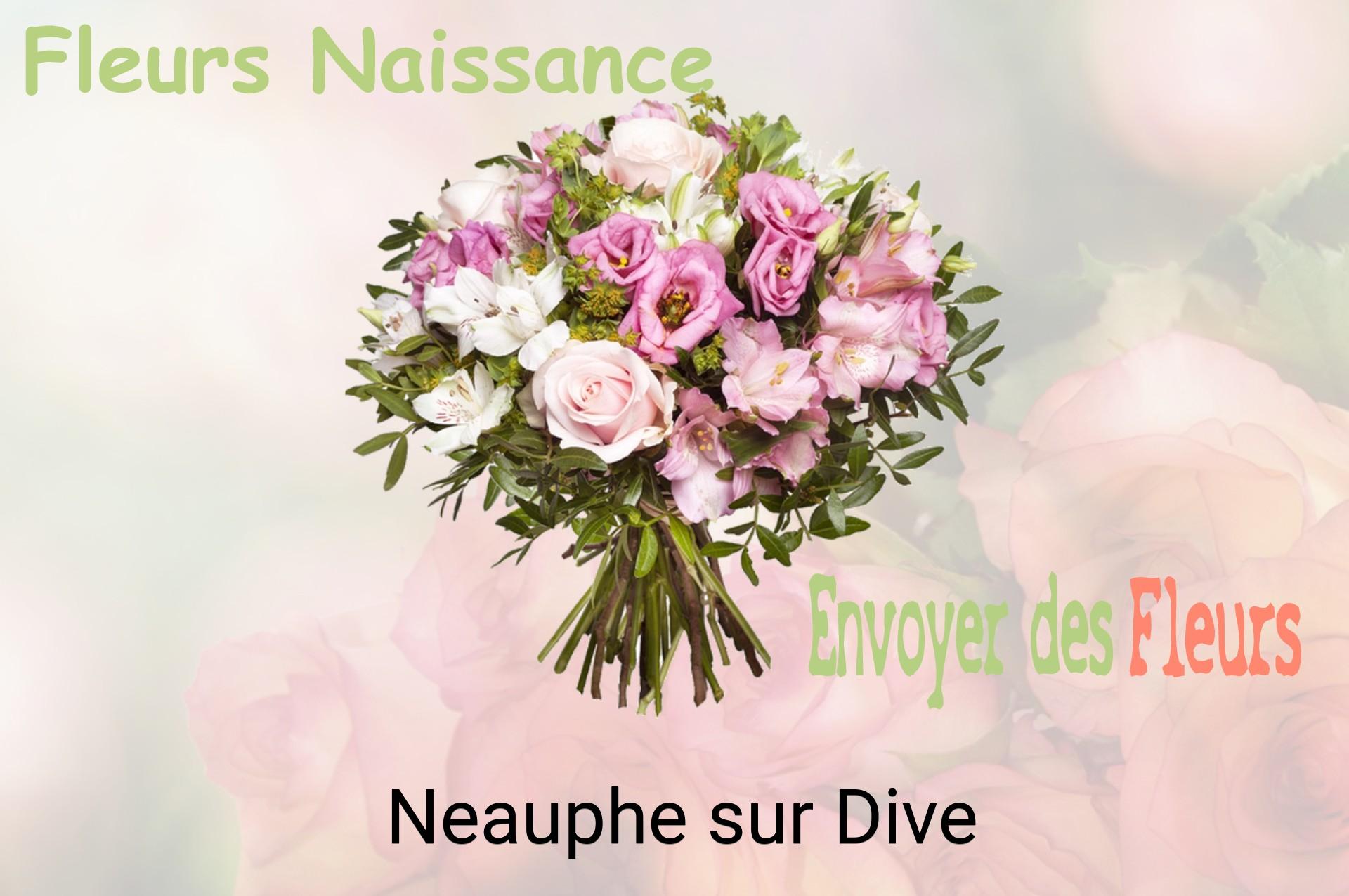 Bouquet de fleurs de naissance livré à Neauphe-sur-Dive